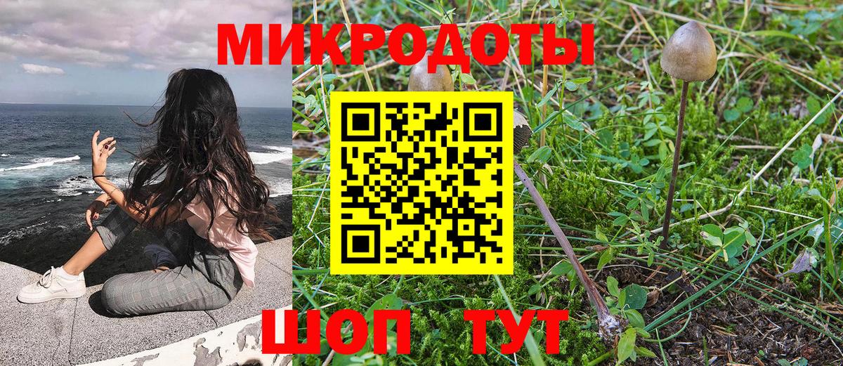 Псилоцибиновые грибы мицелий Чапаевск