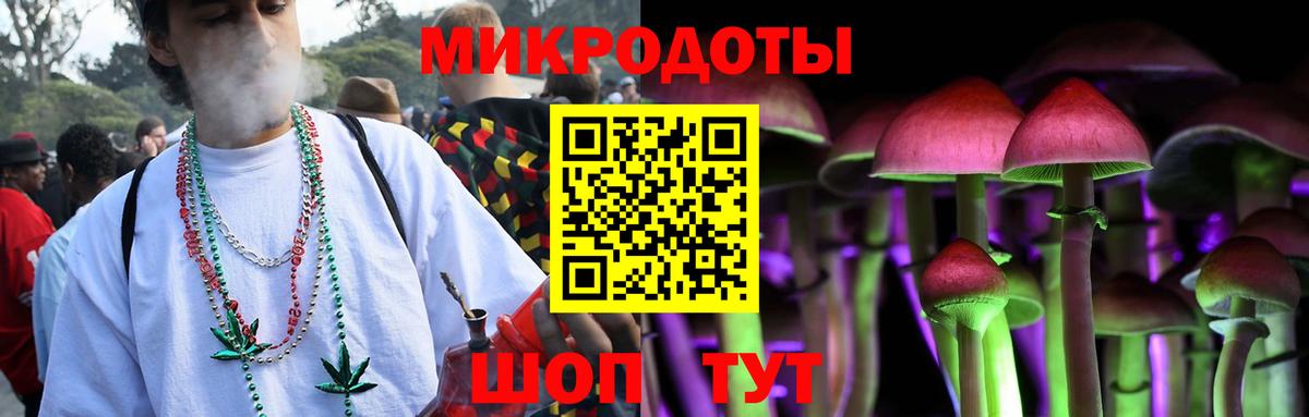 Псилоцибиновые грибы Psilocybe  Вход с VPN  Чапаевск 